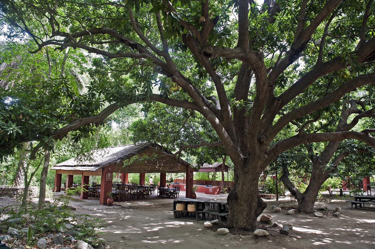 Welcomheritage Maharani Bagh Orchard Retreat Ranakpur Extérieur photo